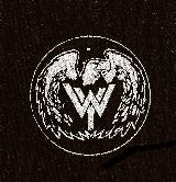 WASTED YOUTH - Logo - Patch
